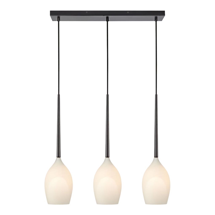 Markslöjd 106808 - Lestenec na vrvici SALUTE 3xE14/40W/230V
