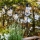 Markslöjd 107293 - LED Zunanja dekorativna veriga GARLAND GARDEN 10xLED 5,5m IP44