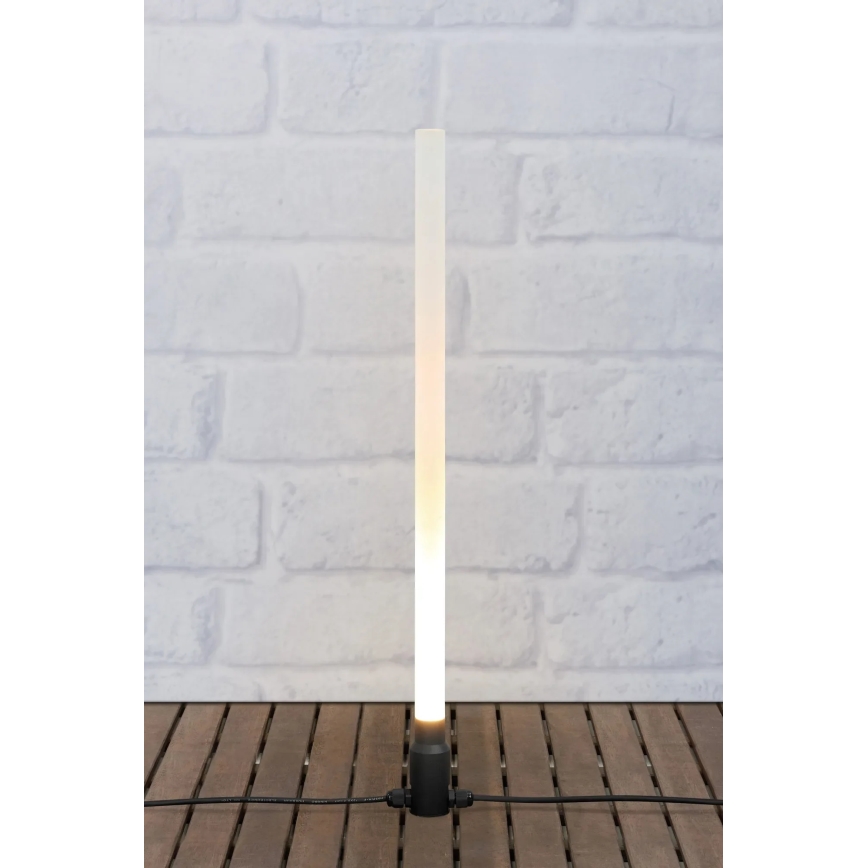 Markslöjd 107719 - LED zunanja svetilka GARDEN24 LED/3W/24V 66 cm IP44 črna/prozorna