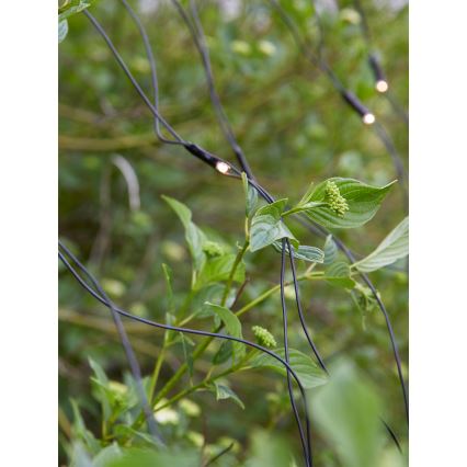 Markslöjd 108178 - LED zunanja božična zavesa GARDEN24 160xLED/24V 2x2m topla bela
