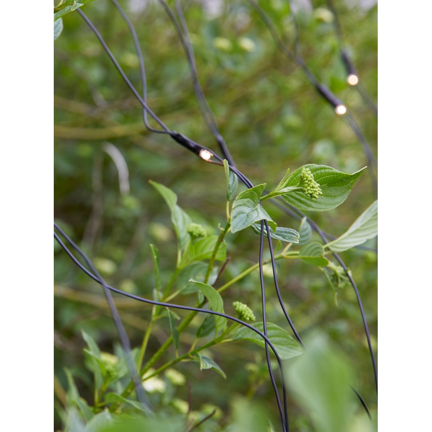 Markslöjd 108178 - LED zunanja božična zavesa GARDEN24 160xLED/24V 2x2m topla bela