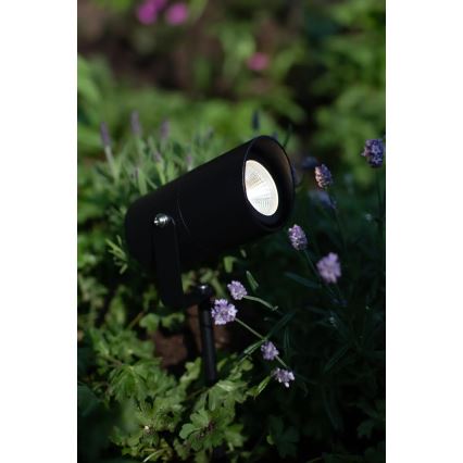 Markslöjd 108484 - LED zunanja svetilka GARDEN24 LED/6W/24V 30 cm IP44 črna