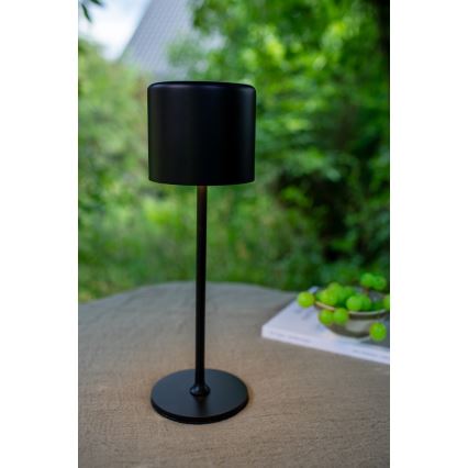 Markslöjd 108657 - LED Zatemnitvena polnilna svetilka FILO LED/2W/5V IP44 30cm črna