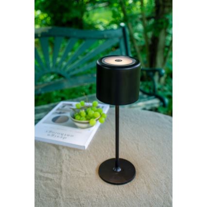 Markslöjd 108657 - LED Zatemnitvena polnilna svetilka FILO LED/2W/5V IP44 30cm črna