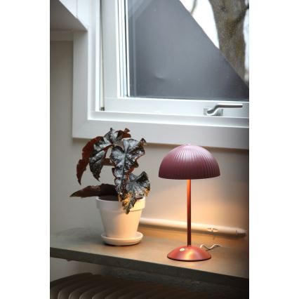 Markslöjd 109142 - Namizna svetilka ZIN 2xG9/20W/230V rožnata