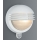 Massive 01300/01/31 - Zunanja stenska luč BOSTON 1xE27/60W s senzorjem IP44