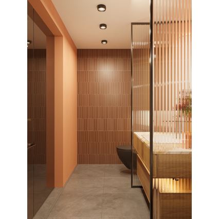 MAXLIGHT C0204 - LED Kopalniška stropna svetilka KODAK LED/8W/230V pr. 10,8 cm IP44 črna