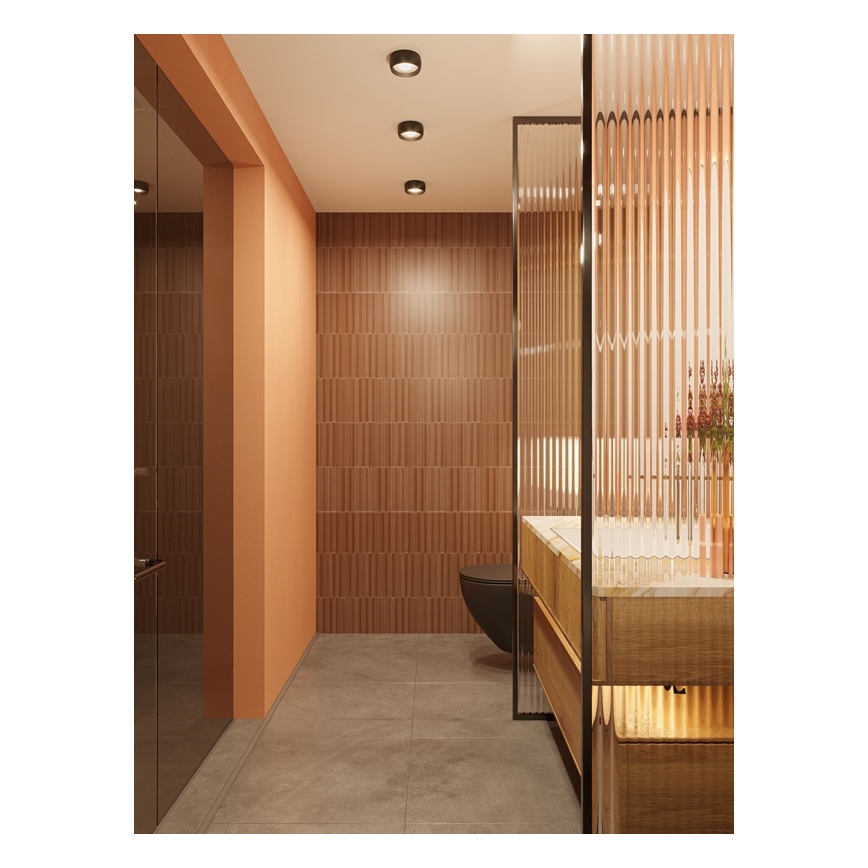 MAXLIGHT C0204 - LED Kopalniška stropna svetilka KODAK LED/8W/230V pr. 10,8 cm IP44 črna