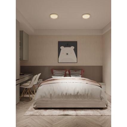 MAXLIGHT C0233 - LED Stropna svetilka DUO LED/10W/230V pr. 34 cm bela