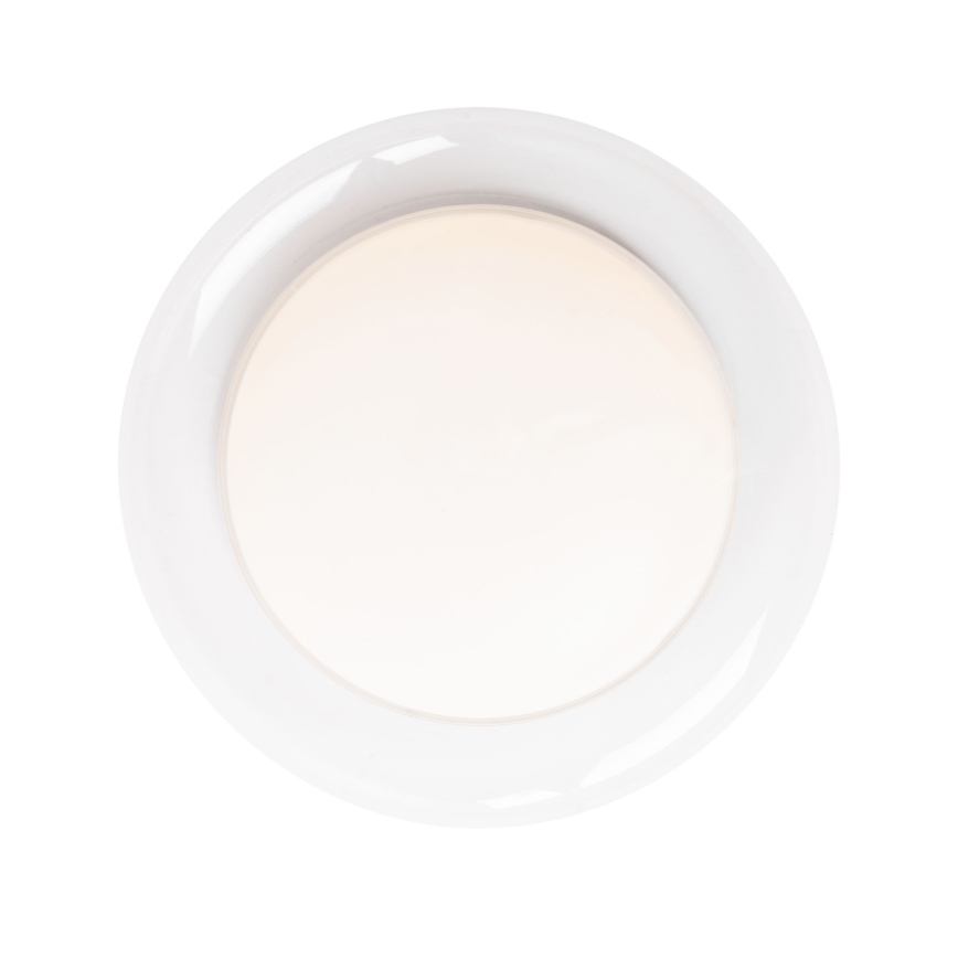 MAXLIGHT C0233 - LED Stropna svetilka DUO LED/10W/230V pr. 34 cm bela