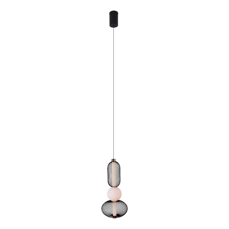 MAXLIGHT P0591 - LED Lestenec na vrvici BORA LED/10W/230V pr. 22 cm bela/črna