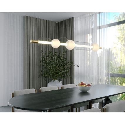 MAXLIGHT P0593 - LED Lestenec na vrvici BORA LED/29W/230V bela/črna