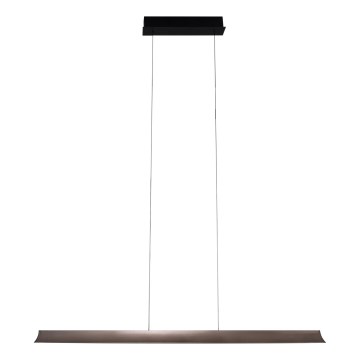 MAXLIGHT P0595 - LED Zatemnitveni lestenec na vrvici JO-JO LED/38W/230V 2700/4500/5500K antracit