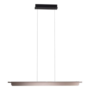 MAXLIGHT P0597 - LED Zatemnitveni lestenec na vrvici JO-JO LED/40W/230V 2700/4500/5500K antracit