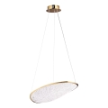 MAXLIGHT P0637D - LED lestenec na kablu EMPIRE LED/17W/230V v zlati barvi