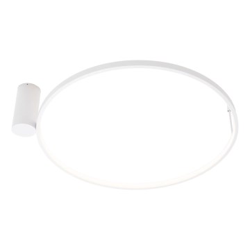 MAXLIGHT W0434 - LED stropna svetilka za kopalnico VISUAL LED/22W/230V premer 60 cm IP44 bela