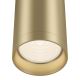 Maytoni C010CL-01MG - Reflektor FOCUS 1xGU10/50W/230V zlata