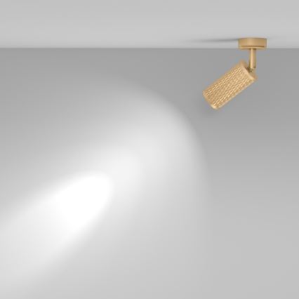 Maytoni C034CL-01G - Točkovna svetilka FOCUS 1xGU10/10W/230V zlata