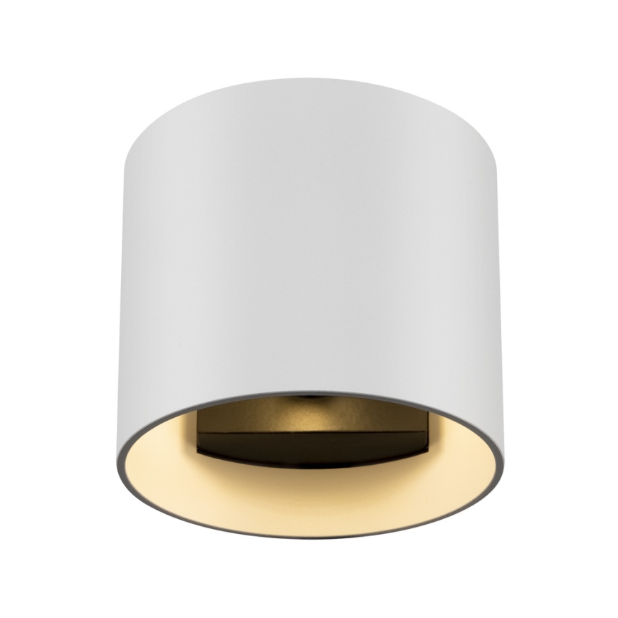 Maytoni C066WL-01W - Stenska svetilka ROND 1xG9/50W/230V bela