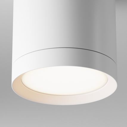 Maytoni C086CM-GX53-MRD-W - Reflektor HOOP 1xGX53/15W/230V bela