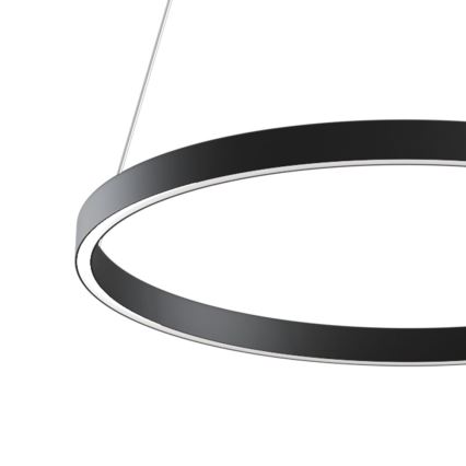 Maytoni MOD058PL-L32B3K - LED Lestenec na vrvici RIM LED/37W/230V 3000K pr. 60 cm črna