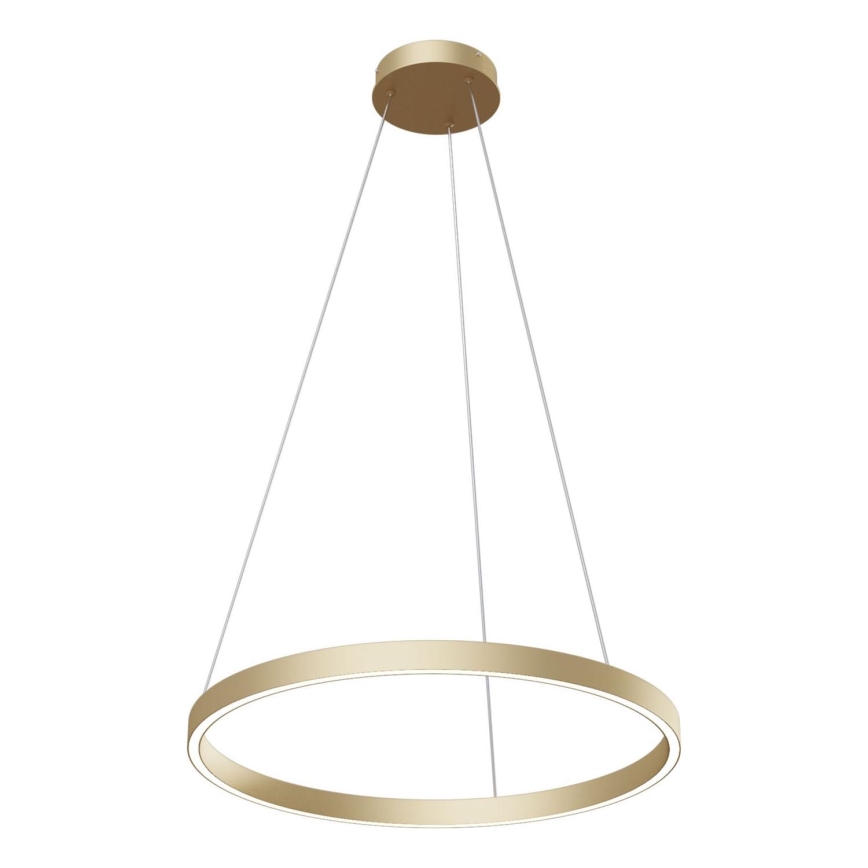 Maytoni MOD058PL-L32BS4K - LED Lestenec na vrvici RIM LED/37W/230V 4000K pr. 60 cm zlata