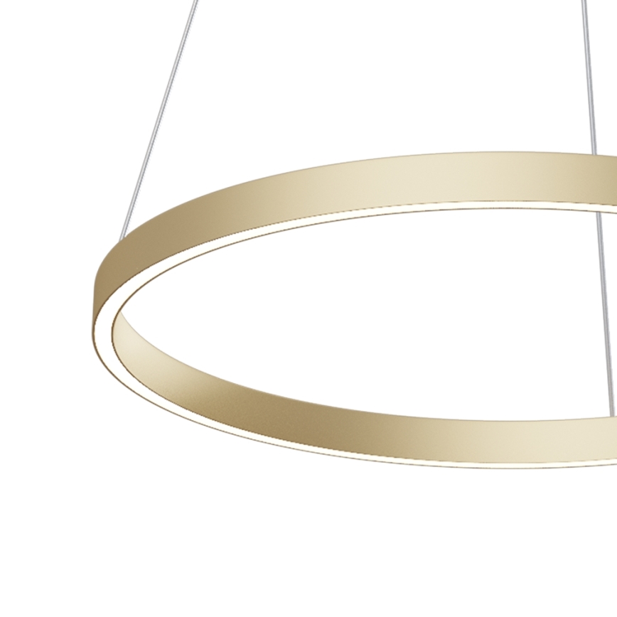 Maytoni MOD058PL-L32BS4K - LED Lestenec na vrvici RIM LED/37W/230V 4000K pr. 60 cm zlata