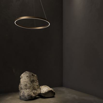 Maytoni MOD058PL-L42BS4K - LED Lestenec na vrvici RIM LED/51W/230V 4000K pr. 80 cm zlata