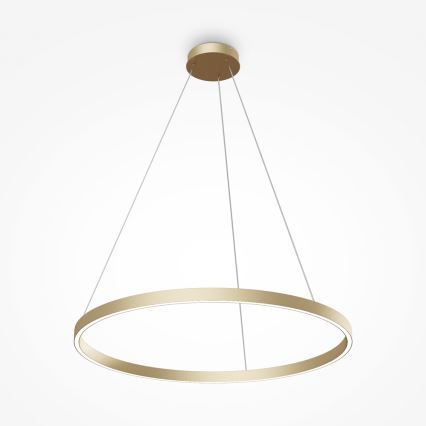 Maytoni MOD058PL-L42BS4K - LED Lestenec na vrvici RIM LED/51W/230V 4000K pr. 80 cm zlata