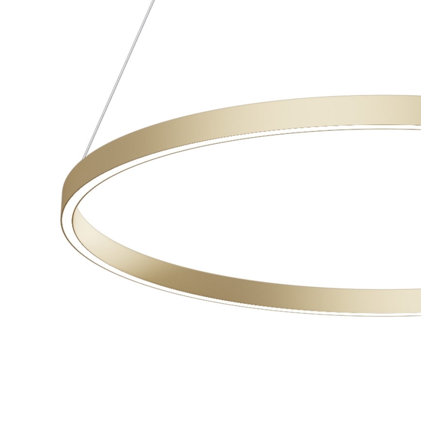 Maytoni MOD058PL-L42BS4K - LED Lestenec na vrvici RIM LED/51W/230V 4000K pr. 80 cm zlata