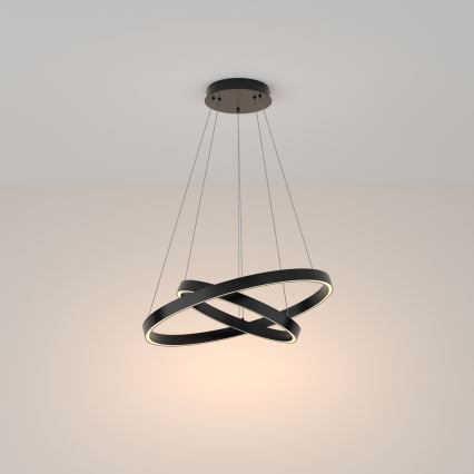 Maytoni MOD058PL-L55B3K - LED Lestenec na vrvici RIM LED/61W/230V 3000K pr. 60 cm črna