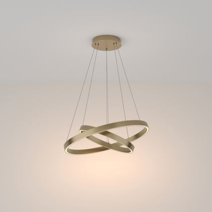 Maytoni MOD058PL-L55BS3K - LED Lestenec na vrvici RIM LED/61W/230V 3000K pr. 60 cm zlata