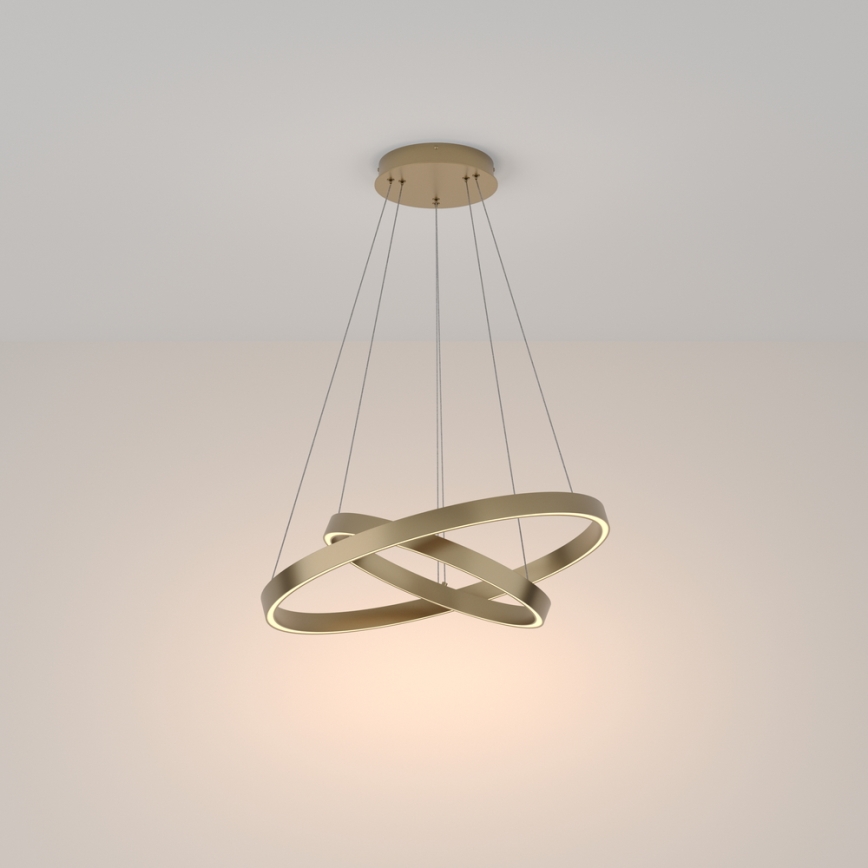 Maytoni MOD058PL-L55BS3K - LED Lestenec na vrvici RIM LED/61W/230V 3000K pr. 60 cm zlata