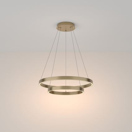 Maytoni MOD058PL-L55BS3K - LED Lestenec na vrvici RIM LED/61W/230V 3000K pr. 60 cm zlata