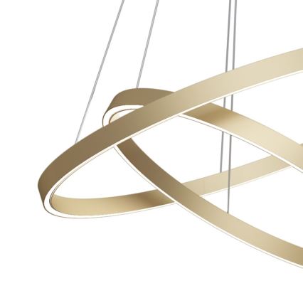Maytoni MOD058PL-L55BS3K - LED Lestenec na vrvici RIM LED/61W/230V 3000K pr. 60 cm zlata