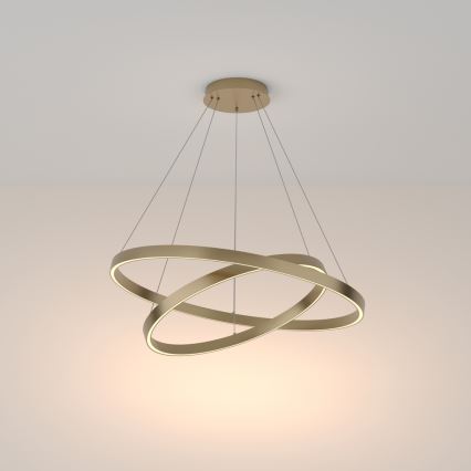 Maytoni MOD058PL-L74BS3K - LED Lestenec na vrvici RIM LED/88W/230V 3000K pr. 80 cm zlata