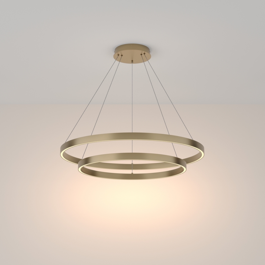 Maytoni MOD058PL-L74BS3K - LED Lestenec na vrvici RIM LED/88W/230V 3000K pr. 80 cm zlata