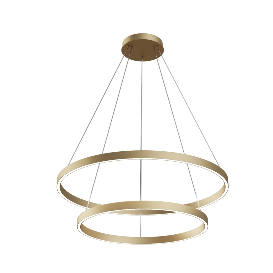 Maytoni MOD058PL-L74BS3K - LED Lestenec na vrvici RIM LED/88W/230V 3000K pr. 80 cm zlata