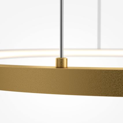 Maytoni MOD072PL-L36BSK1 - LED Lestenec na vrvici GLINT LED/36W/230V zlata pr. 80 cm