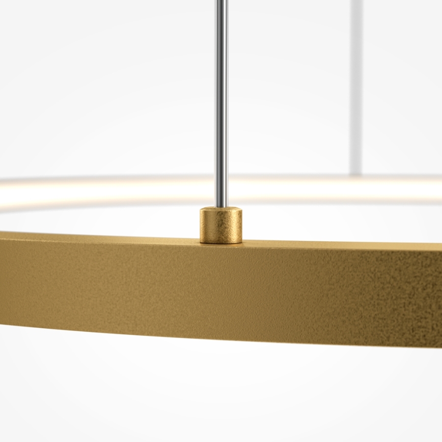 Maytoni MOD072PL-L36BSK1 - LED Lestenec na vrvici GLINT LED/36W/230V zlata pr. 80 cm