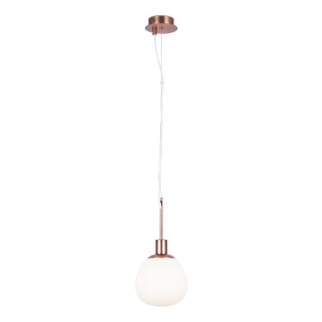 Maytoni MOD221-PL-01-G - Lestenec na vrvici ERICH 1xE14/40W/230V baker