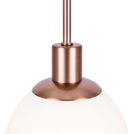 Maytoni MOD221-PL-01-G - Lestenec na vrvici ERICH 1xE14/40W/230V baker
