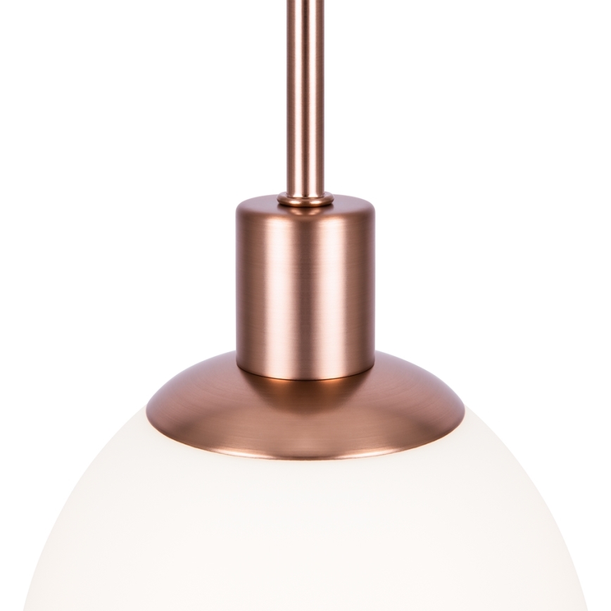 Maytoni MOD221-PL-01-G - Lestenec na vrvici ERICH 1xE14/40W/230V baker