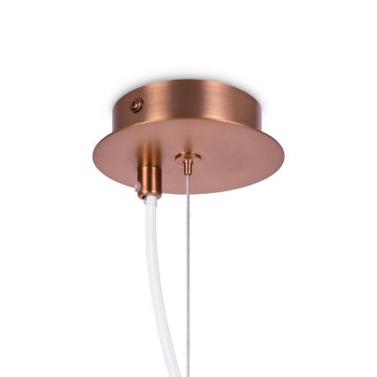 Maytoni MOD221-PL-01-G - Lestenec na vrvici ERICH 1xE14/40W/230V baker
