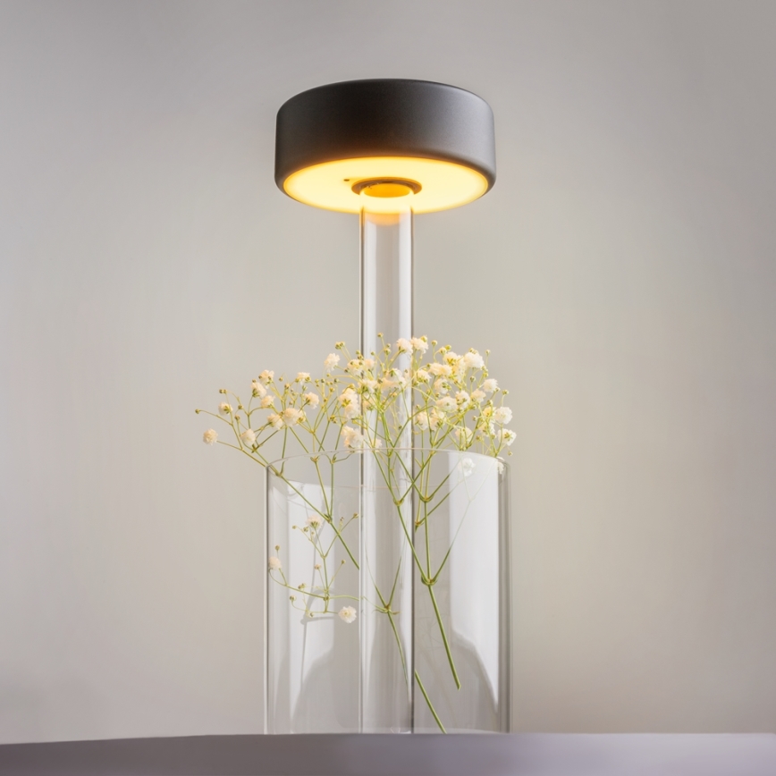 Maytoni MOD229TL-L3B3K1 - LED Zatemnitvena polnilna prenosna namizna svetilka LED/3W/5V 2200-4000K črna/prozorna