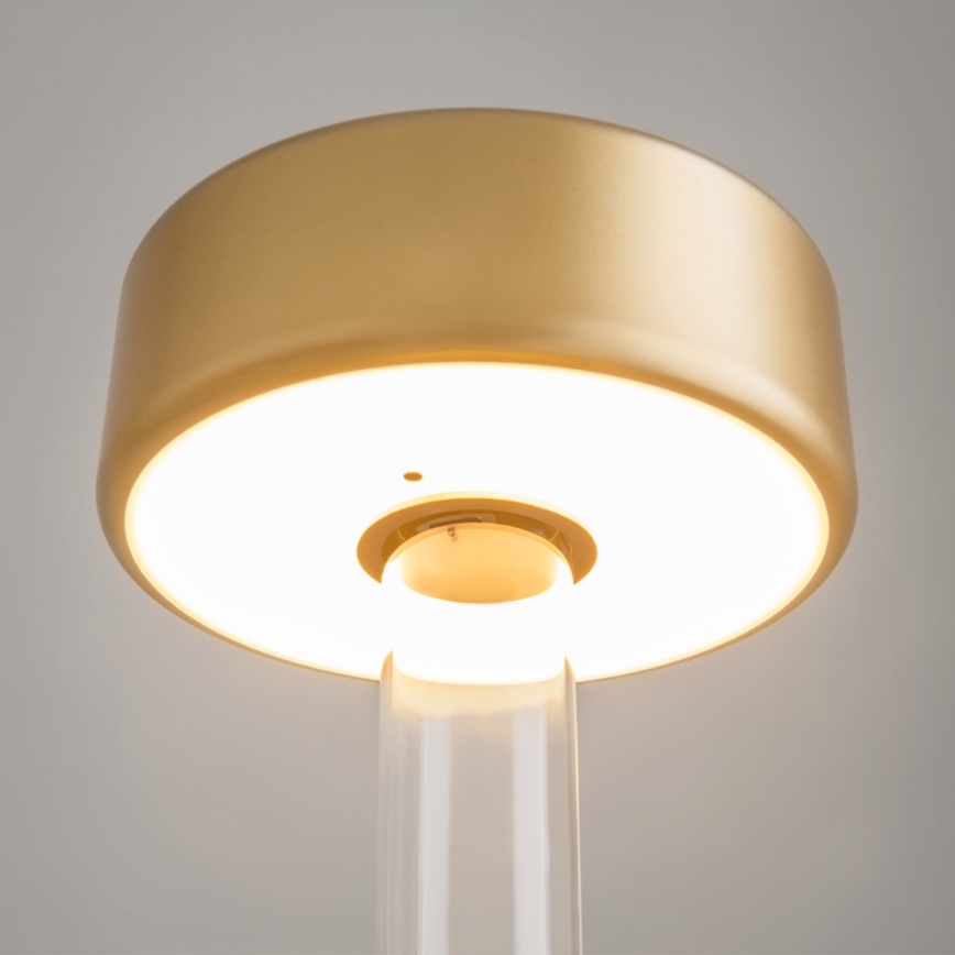 Maytoni MOD229TL-L3G3K1 - LED Zatemnitvena polnilna prenosna namizna svetilka LED/3W/5V 2200-4000K zlata/prozorna