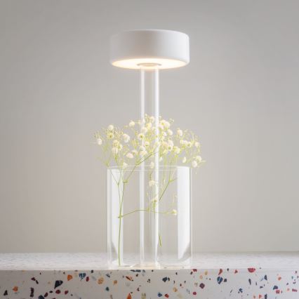 Maytoni MOD229TL-L3W3K1 - LED nastavljiva polnilna prenosna namizna svetilka LED/3W/5V 2200-4000K 2000 mAh bela/prosojna