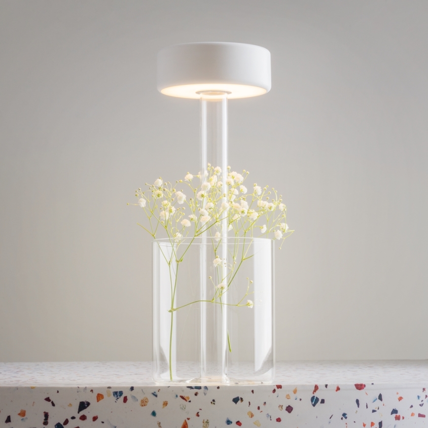 Maytoni MOD229TL-L3W3K1 - LED Zatemnitven polnilni prenosni namizna svetilka LED/3W/5V 2200-4000K bela/prozorna