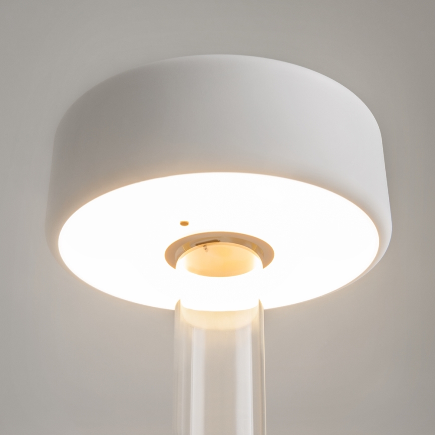 Maytoni MOD229TL-L3W3K1 - LED Zatemnitven polnilni prenosni namizna svetilka LED/3W/5V 2200-4000K bela/prozorna