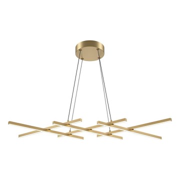 Maytoni MOD244PL-L50BSK - LED lestenec na kablu HALO LED/40W/230V v zlati barvi